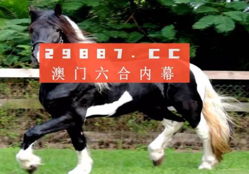 2025年新澳门和香港一肖一码一特一中挂——详细解答、解释与落实