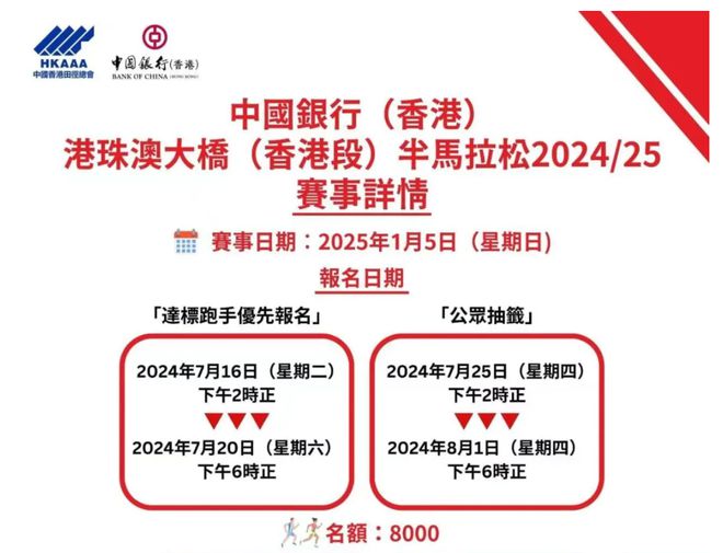 新澳2024-2025正版资料大全——精选解析、落实与策略