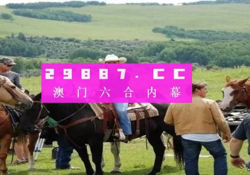 澳门最最准一肖一码,词语释义解释落实|丰富释义